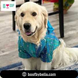 Dress Your Pet in Dog Kurta and Lehenga for Diwali, New Delhi