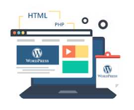 Partner With Website Development Company in Delhi, Delhi