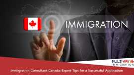 Navigating Canadian Immigration: Key Tips, Edmonton