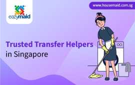 Trusted Transfer Helpers in Singapore, Bukit Timah