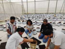 Finding the Best Hydroponic Farming Workshops, Hyderabad