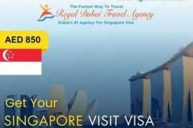 Everything You Need to Know About Singapore Visa, Dubai