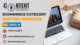 Ecommerce Category Writing Services  