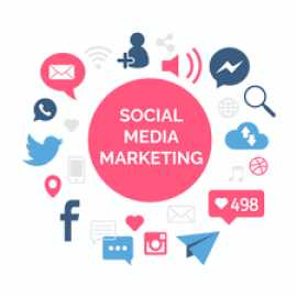 Choose Social Media Marketing Company in Delhi , Delhi