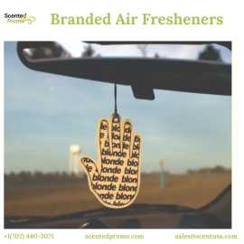 Freshen Up: Best Branded Air Fresheners, ₹ 0