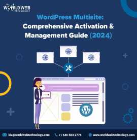 WordPress Multisite: Comprehensive Activation, Dover