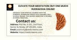 Elevate Your Meditation: Buy One Mukhi Rudraksha , $ 0