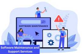Expert Software Maintenance & Support Services, Lucknow
