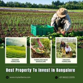 Best Property To Invest in Bangalore, Bengaluru