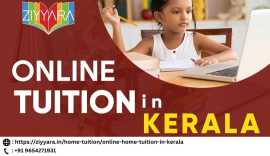 Excel Academically with Ziyyara: Premier Online , Noida