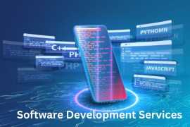 Looking For Top Software Development Services?, Lucknow