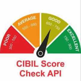 Cibil Credit Report API - Surepass  Technologies, Delhi