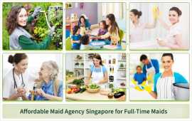 Affordable Maid Agency Singapore for Full-Time Mai, Bukit Timah