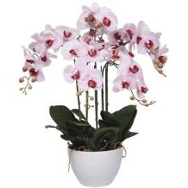 Install Small Fake Succulent Plants to Bring in Ef, Melbourne