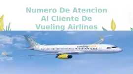 ¿Vueling teléfono gratuito 24 horas? Contacta aten, New City