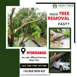 Tree Removal Services - NHN Tree Cutting Services, Hyderabad