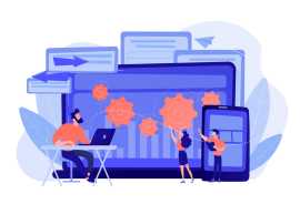 Software Maintenance and Support Services, Lucknow