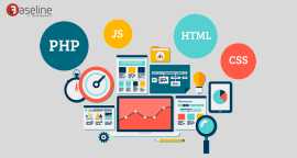 Professional Website Development Company in Mohali, Mohali