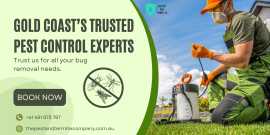 Gold Coast’s Trusted Pest Control Experts, Gold Coast