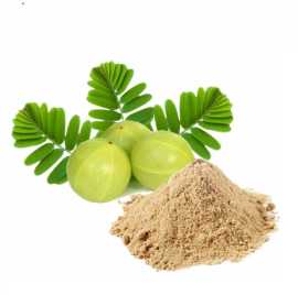 Amla Extract, Bengaluru
