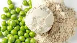 Fuel Your Health with Whole Nutrition, Noida
