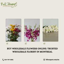 Buy Flowers Online in Montreal – Fast & Fresh , $ 60