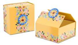 Choose the Best Rigid Boxes Manufacturer India, Ghaziabad