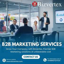 Bizvertex: Redefining B2B Marketing for Companies , Bethlehem