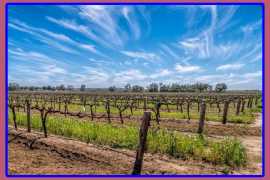 McLaren Vale private wine tours