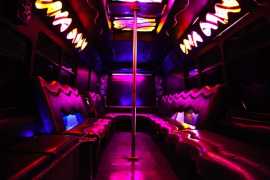 Pink Party Bus Austin TX Bachelorette Party, Austin