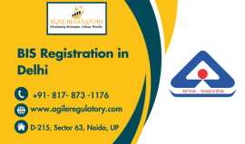 BIS Registration in Delhi, Noida