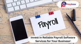 Payroll Software is a Good Way for Businesses!, Mississauga