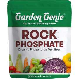 Rock Phosphate Fertilizer, Jaipur