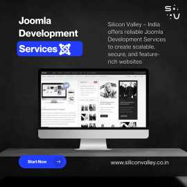 Joomla Development Services, Las Vegas