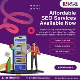 Professional SEO services in India, Ghaziabad