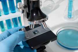 Best IVF Abu Dhabi, Abu Dhabi