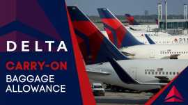 Delta Airlines Checked Baggage Size, New City