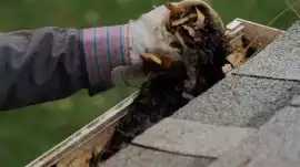 Gutter cleaning Sydney, Sydney