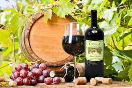 Best Wines Under 10$, Santa Rosa