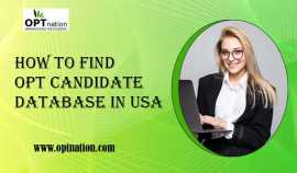 How to Find OPT Candidate Database in USA , Philadelphia