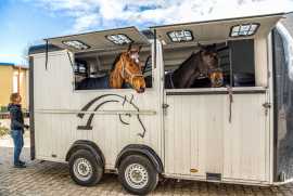 Book Reliable Horse Shippers in California, Joshua Tree