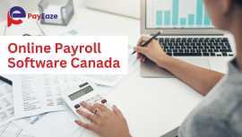 Online Payroll Software in Canada easily!, Mississauga
