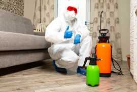 24/7 Emergency Pest Control Services Available, Phoenix