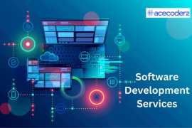Top-Tier Software Development Services, Lucknow
