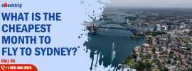 What is the best day of the week to book flights i, New City