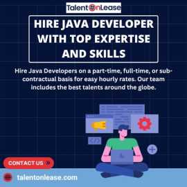 Hire Java Developer with Top Expertise and Skills, Noida