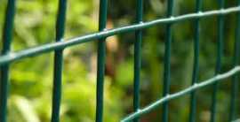 Durable PVC Coated Chain Link Fence for Long-Lasti, d.ed 99