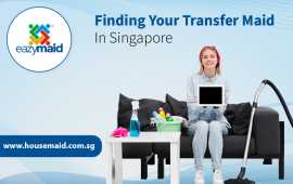 Finding Your Transfer Maid in Singapore, Bukit Timah