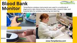Blood Bank Monitor, Maryland Line