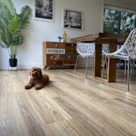 Choose Clique Floors for Vinyl Flooring, Bayswater